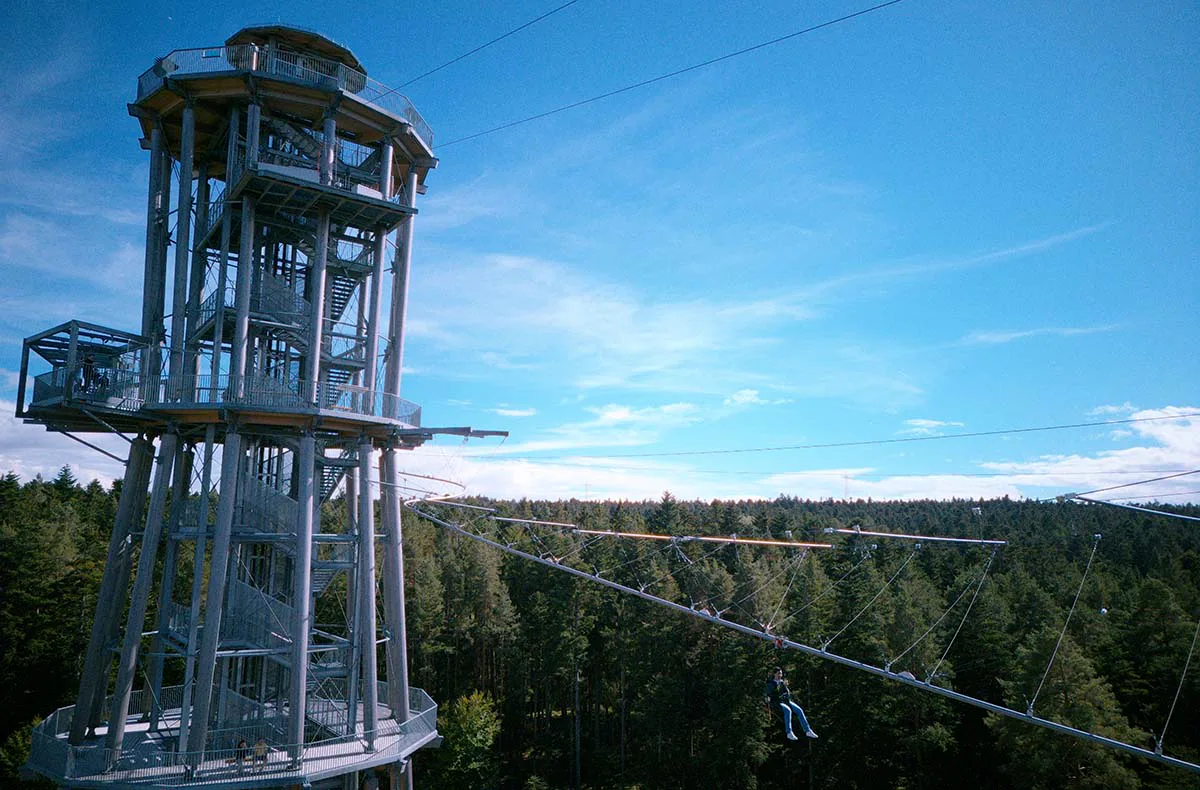 Flyline Schwarzwald für 2 Schömberg - 1