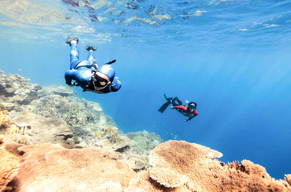 Freediving Tageskurs Ettenheim
