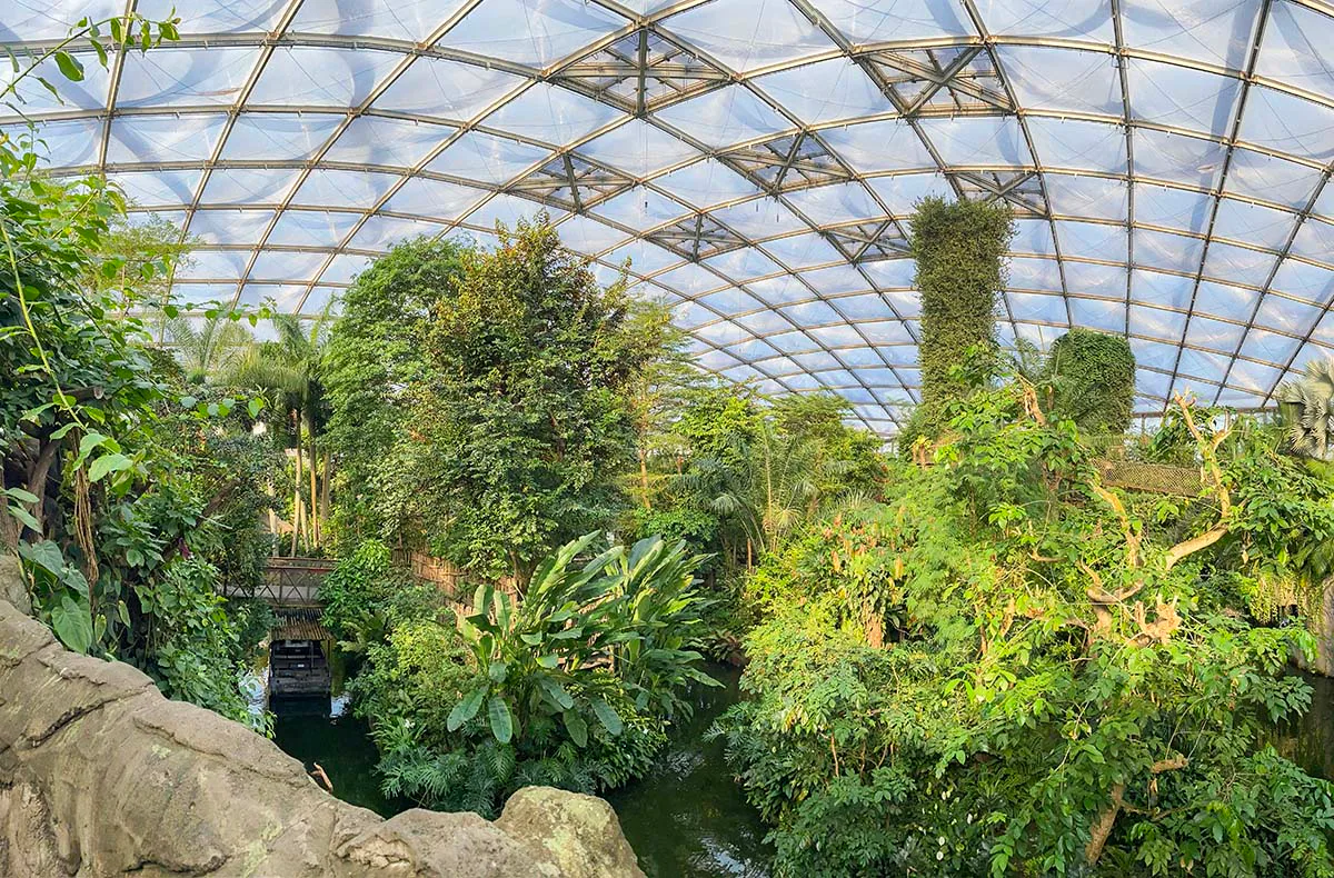 Frühstück & Zoobesuch Leipzig für 2 - 14