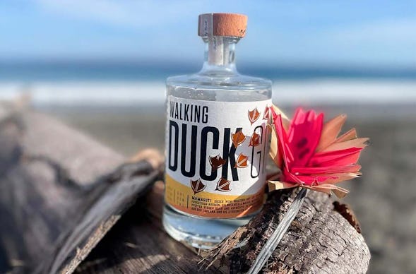 Gin Brennkurs mit 5-Gänge-Menü Bad Kreuznach