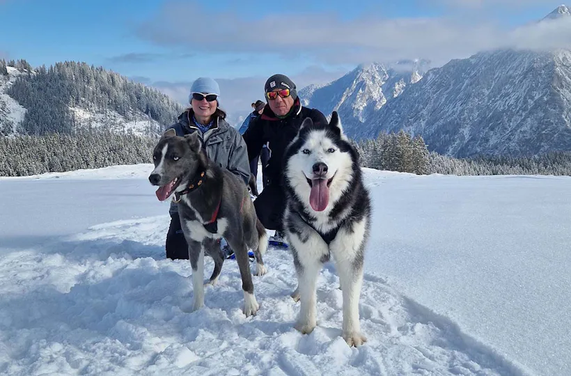 Husky Schneeschuhtrekking für 2