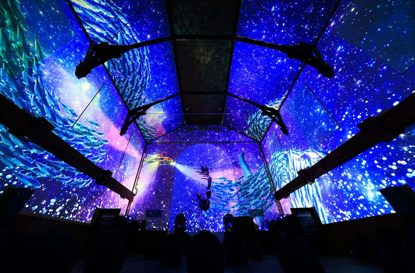 Immersive Show Heidelberg (Pixel Zoo)