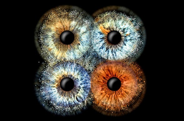 Irisfotografie Familie Haßfurt