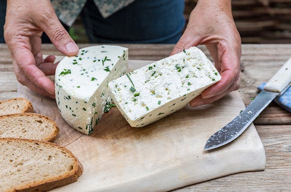 Käse selber machen Buch a. Erlbach