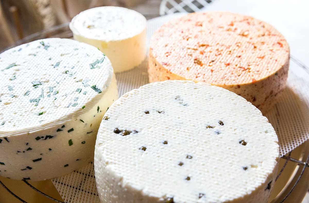 Käse selber machen Buch a. Erlbach - 2