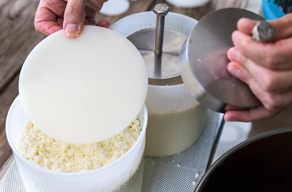 Käse selber machen Buch a. Erlbach - 4
