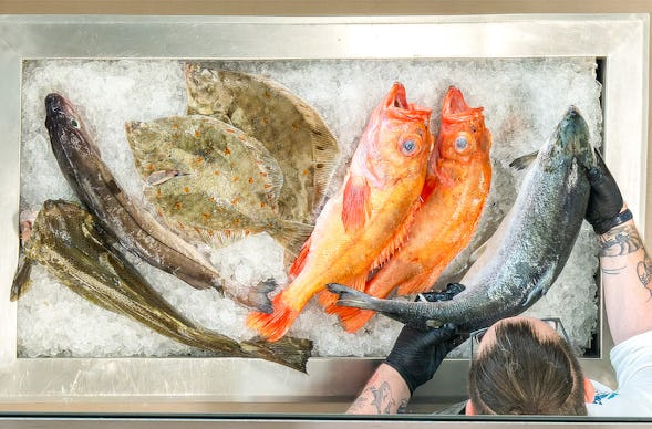 Kochshow Bremerhaven mit Fischbuffet