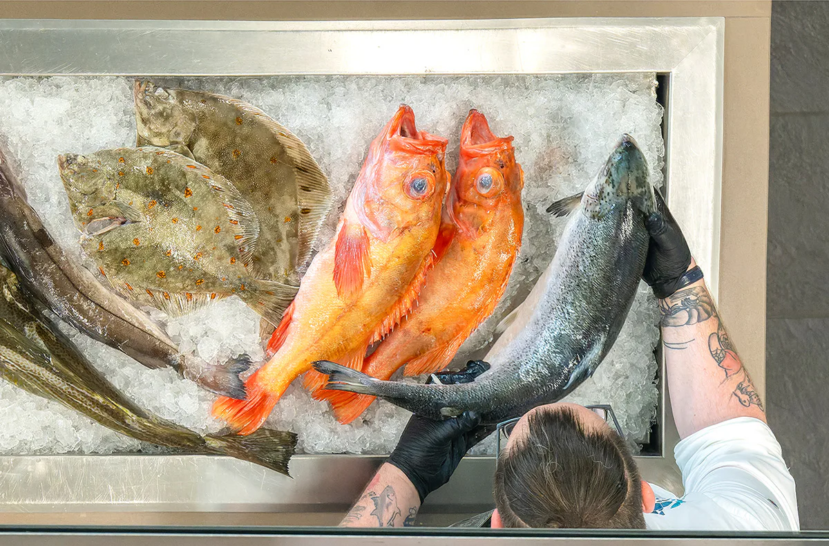 Koch-Show mit Fisch-Buffet in Bremerhaven für 2 - 3