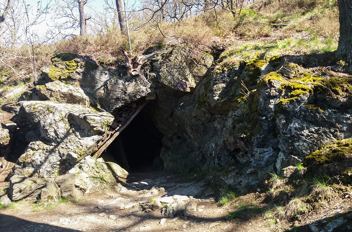 Kräuterwanderung Alexisbad (2,5 Std.) - 4