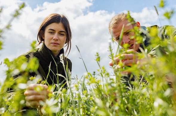 Kräuterwanderung Wershofen