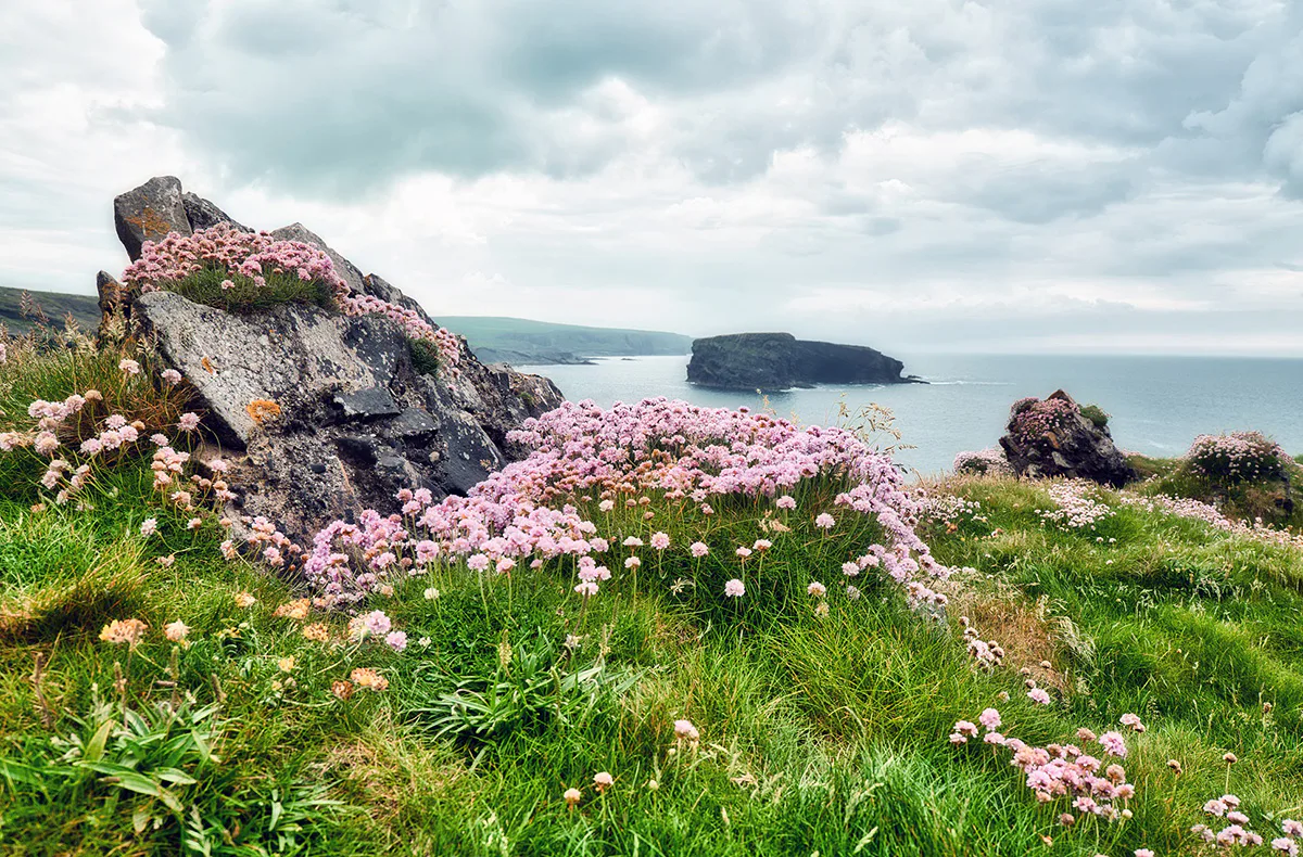Kurztrip Dublin mit Cliffs of Moher - 3
