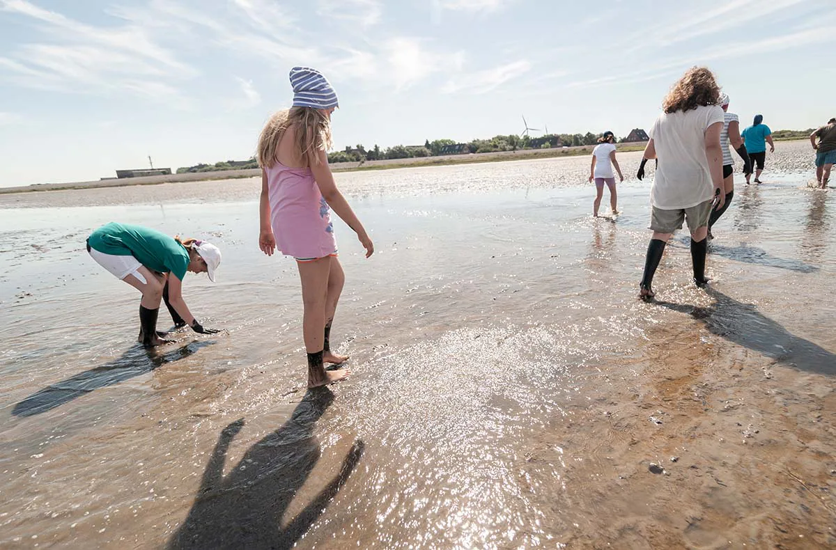 Auszeit in Friesland mit Wattwanderung für 2 (2 Nächte) - 1
