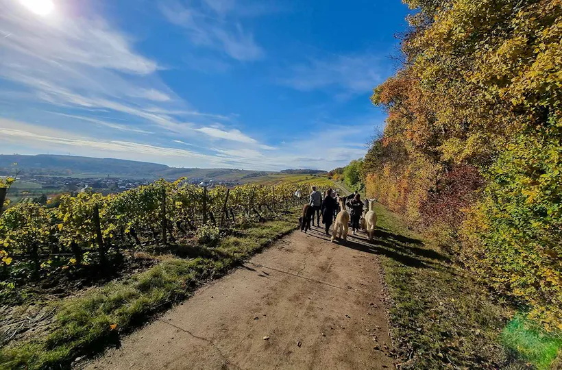 Kurzurlaub für bis zu 5 Personen Dipbach (2 Nächte)