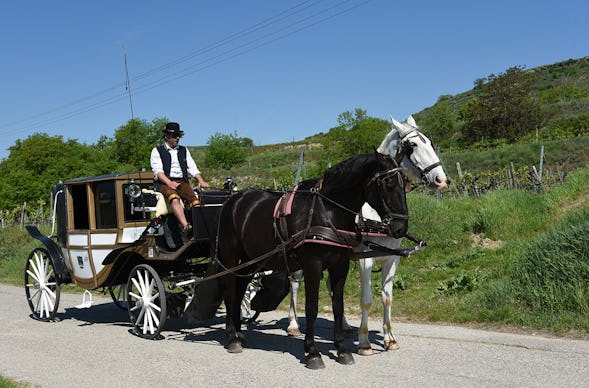 Kutschfahrt Wien für 2