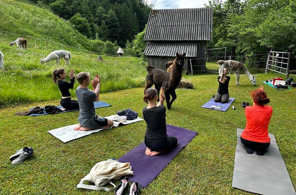 Lama Wanderung mit Yoga & Brunch