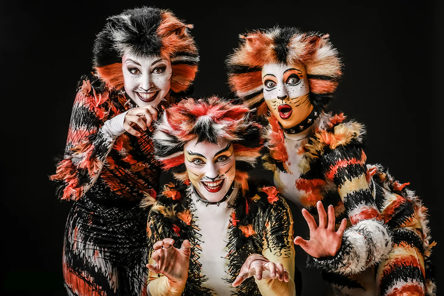 Musical Starlights (Show) Bad Neustadt a.d. Saale - 4