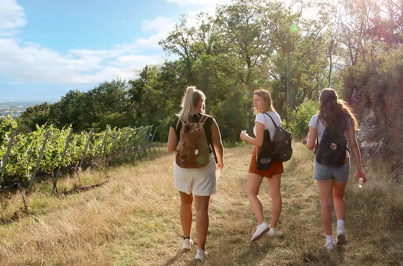 Outdoor Escape Gruppe - Anfänger "In Vino Veritas" Meersburg