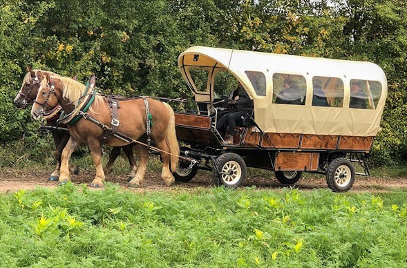 Planwagenfahrt Langenfeld für 2