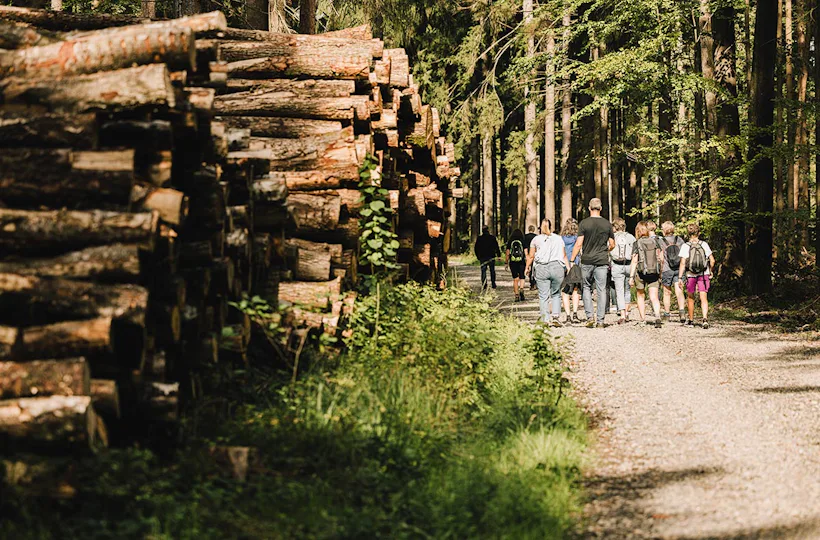 Quizwanderung Überwald Grasellenbach