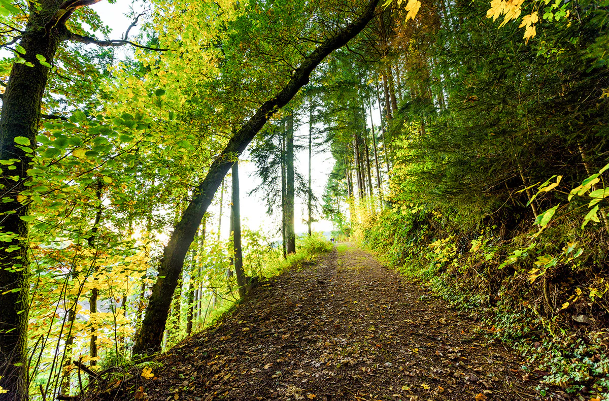 Romantikurlaub in der Blockhütte Schwarzwald für 2 (2 Nächte) - 7
