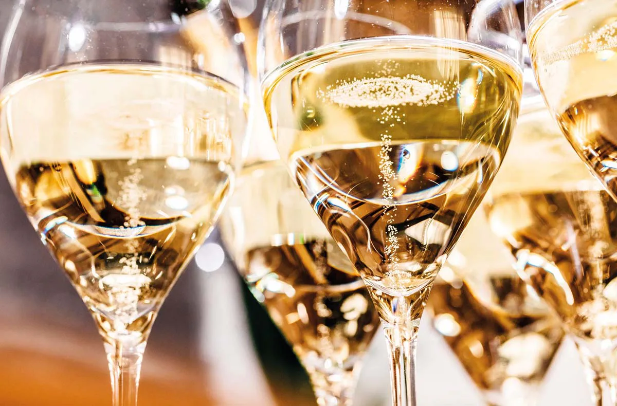 Schaumweinseminar in der Villa Mumm Eltville - 3