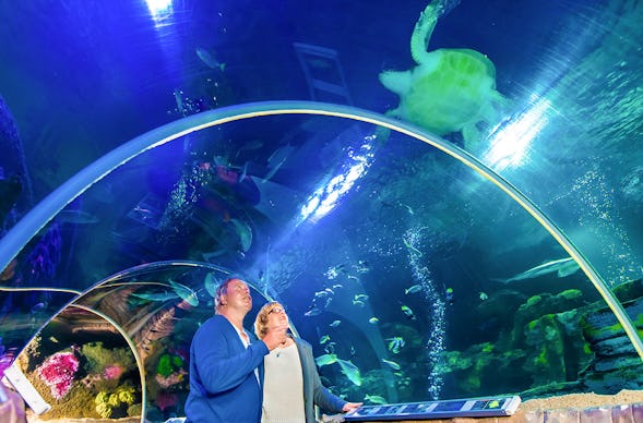 Sea Life Timmendorfer Strand (1 EW + 1 Kleinkind)