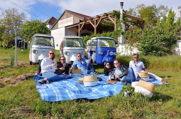 Sightseeing Tour Wien