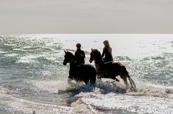 Strandritt Ostsee mit Probestunde Hirschburg (Okt. - Apr.)