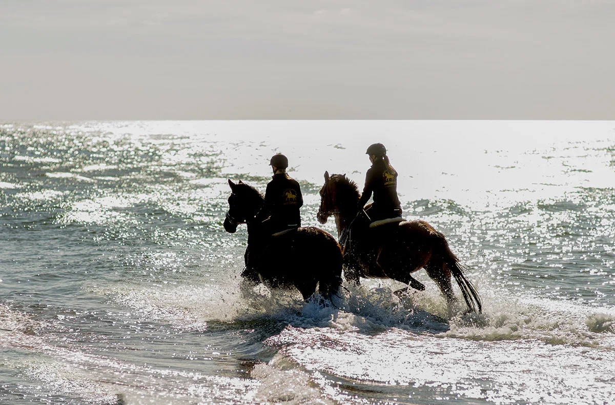 Strandritt Ostsee mit Probestunde Hirschburg (Okt. - Apr.) - 1