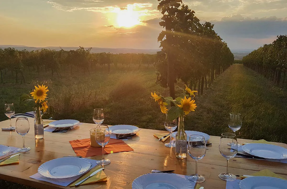 Sunset Wine Tasting Hohenruppersdorf - 1