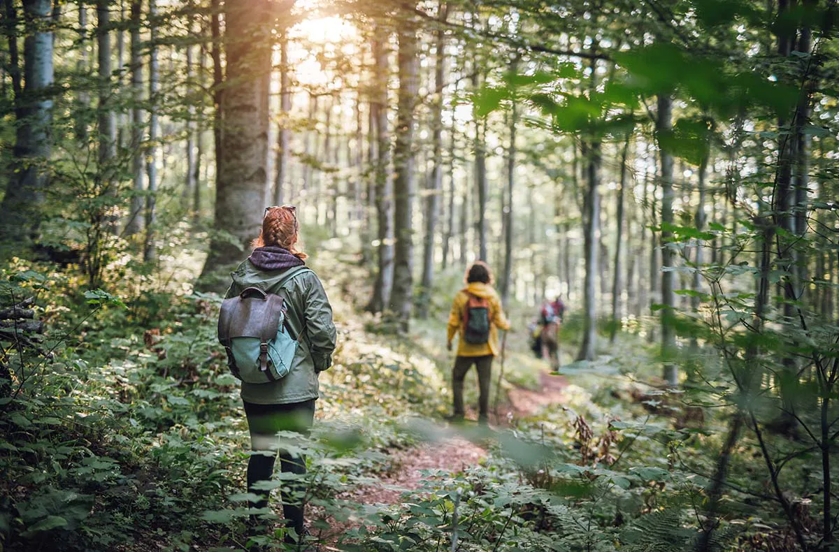 Survival-Intensivkurs Ferdinandshof (3 Tage) - 1