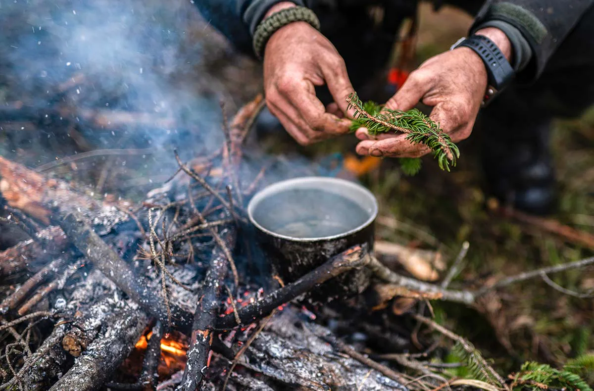 Survival Kurs Dettmannsdorf (Nahrung und Wasser) - 2