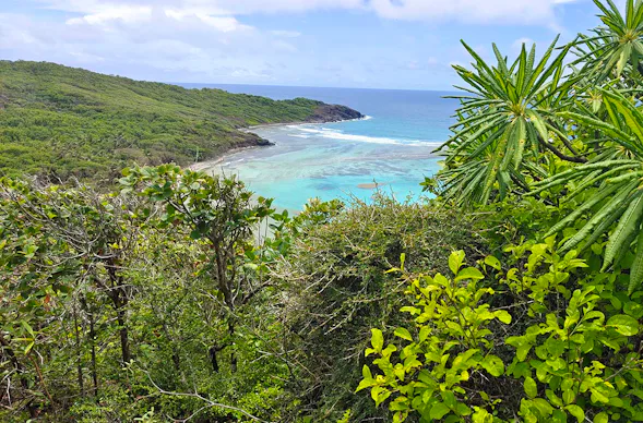 Survival Training Karibik