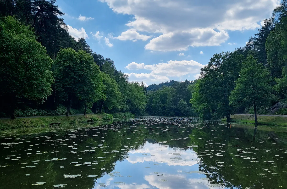 Tagestour mit Eseln Eppenbrunn für 2 - 3