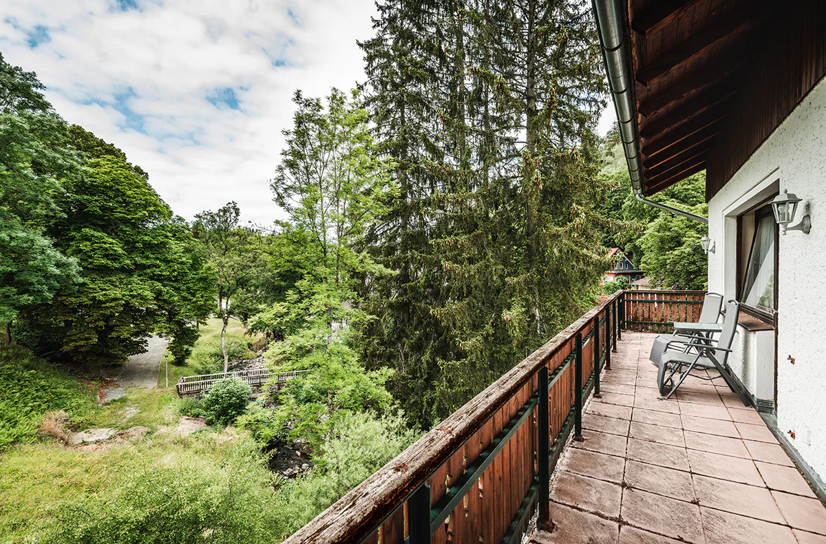 Thermen Kurzurlaub im Harz für 2 (2 Nächte) - 9