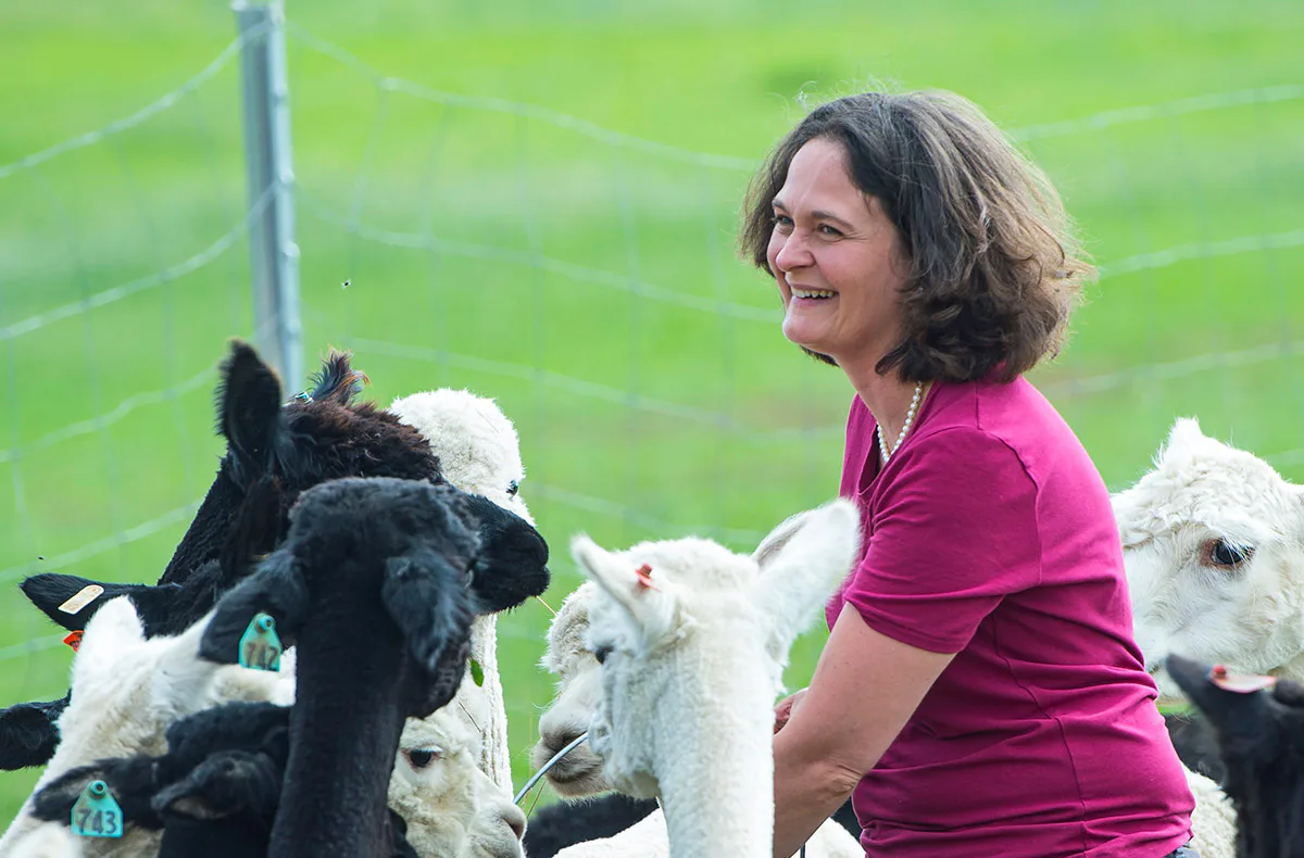 Übernachtung auf der Alpakafarm Affinghausen für 2 (1 Nacht) - 2