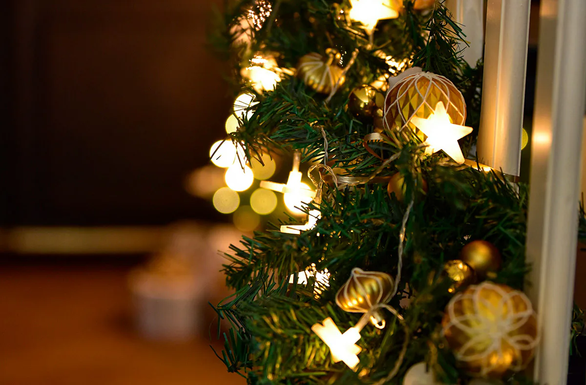 Weihnachtsurlaub an der Nordsee Krumstedt für 8 Personen (7 Nächte) - 3
