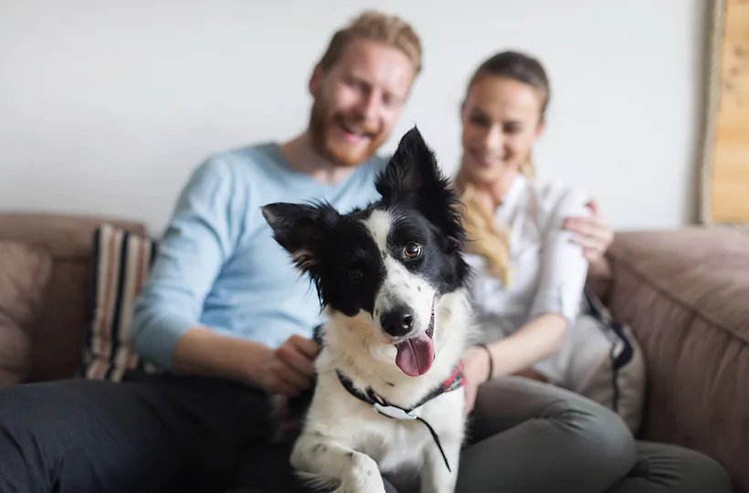 Urlaub in einer Ferienwohnung mit Hund für 2 (2 Nächte) - St. Oswald