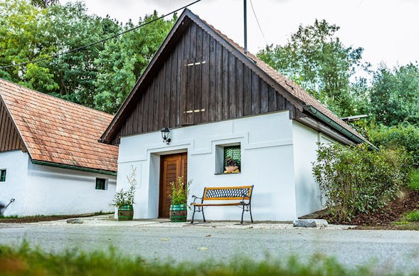Urlaub mit Freunden im Weinfass mit Wellness Grub an der March