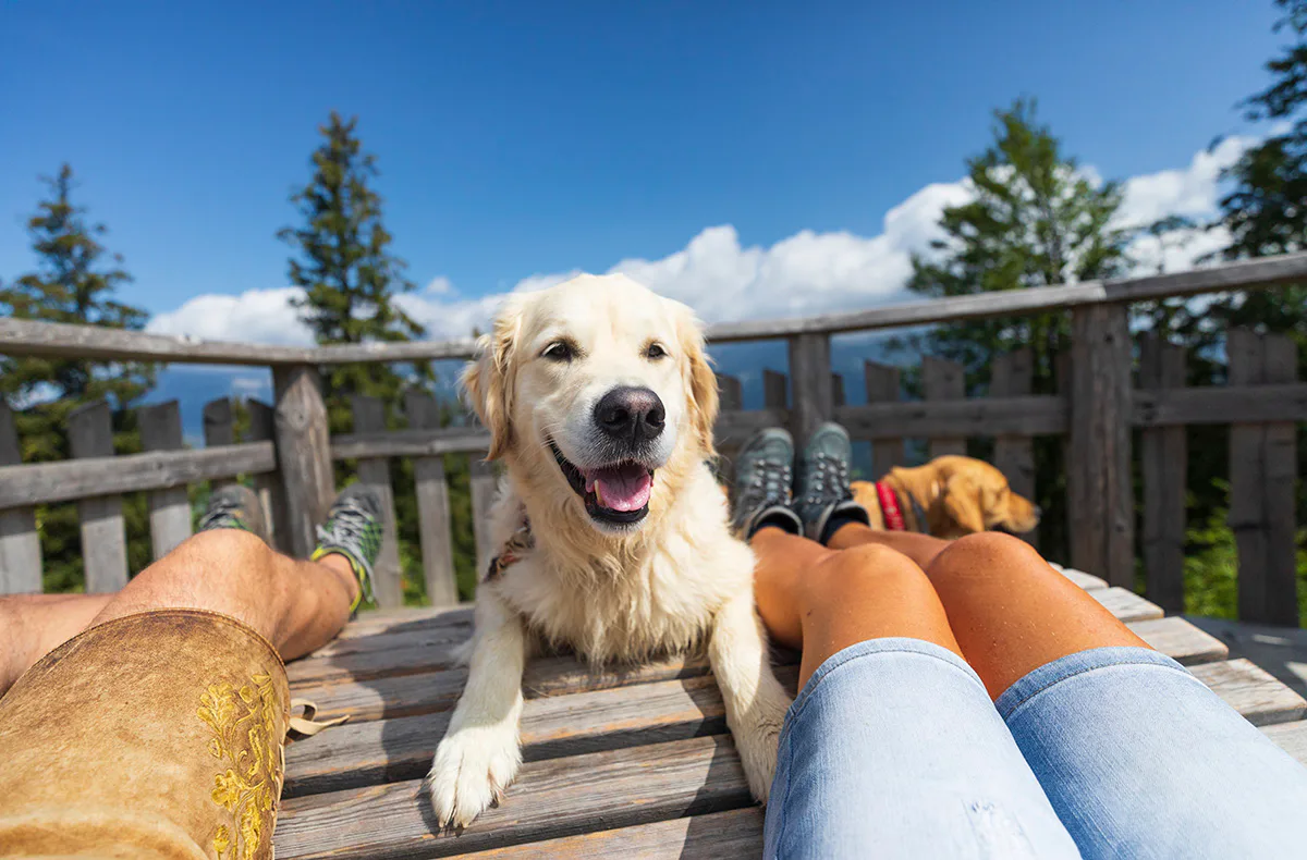 Urlaub mit Hund am Rennsteig für 2 (2 Nächte) - 1