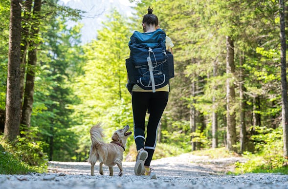 Urlaub mit Hund im Harz für 2 (1 Nacht)
