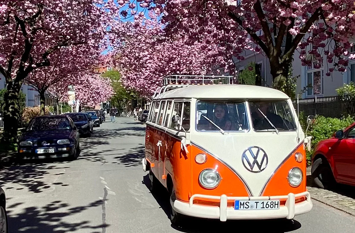 VW Bulli Stadtrundfahrt in Münster für 2 - 2