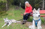 Wandern mit Huskies Raum Füssen
