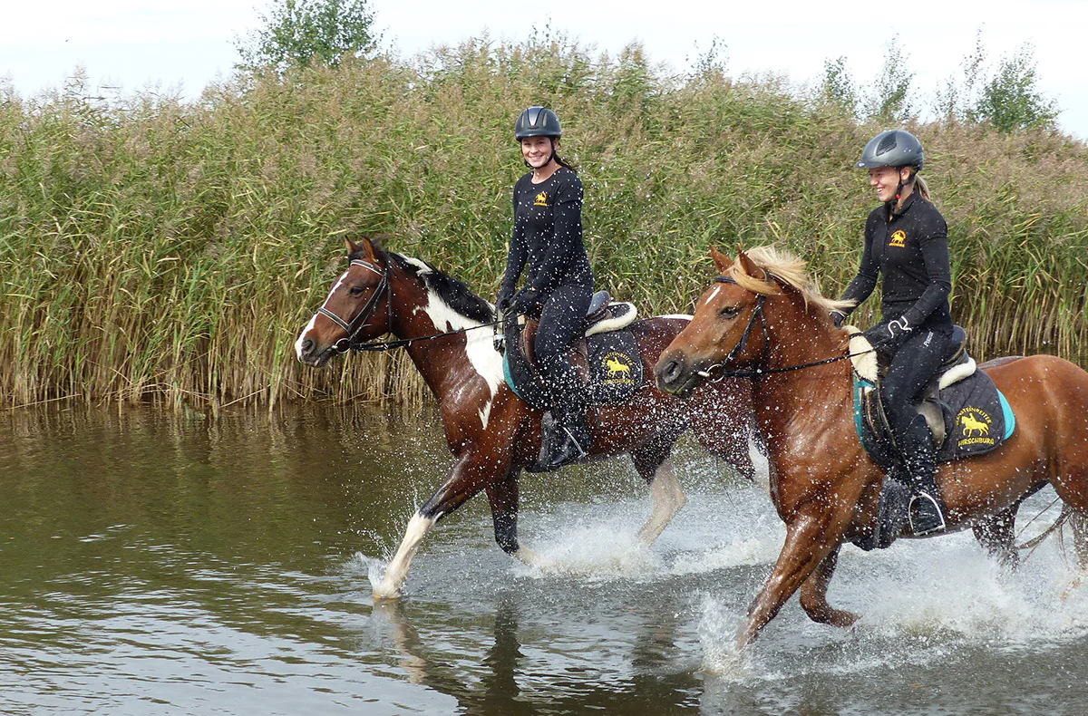 Wanderreiten mit Verpflegung - 2
