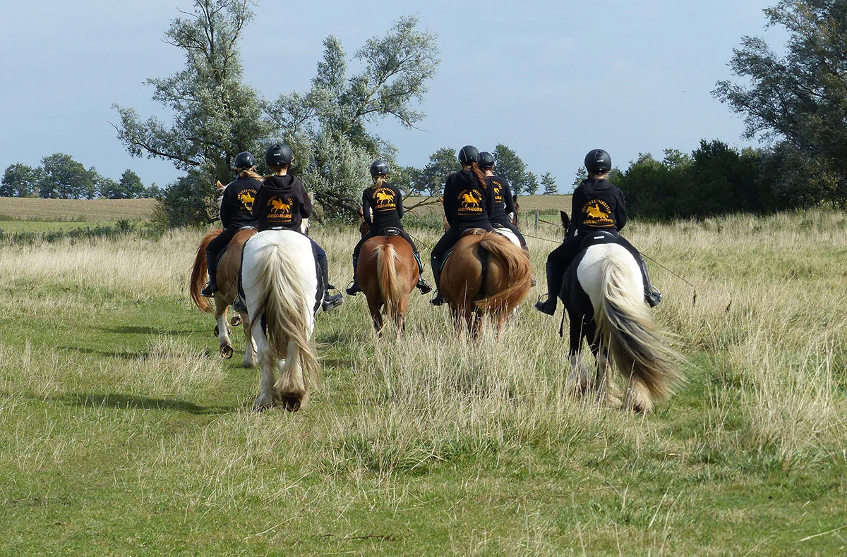Wanderreiten mit Verpflegung - 4