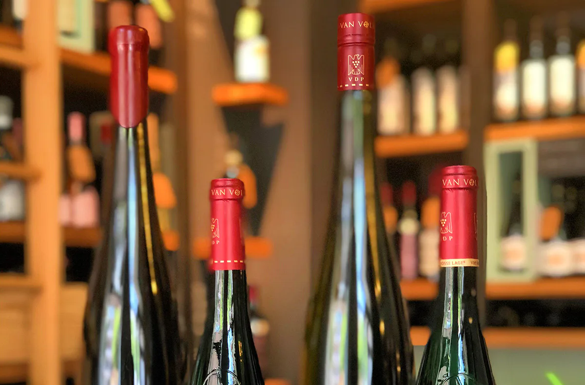 Wein Tasting in München - 5