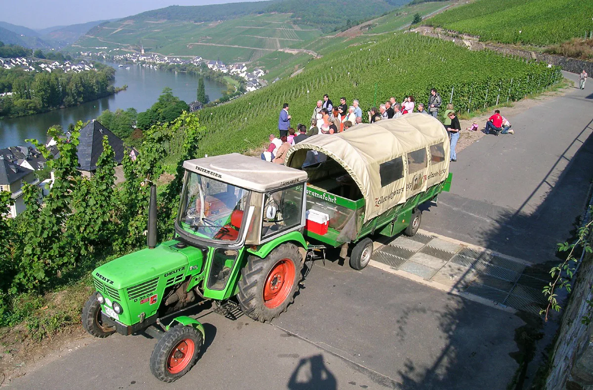 Weinausflug & Schifffahrt auf der Mosel - 5