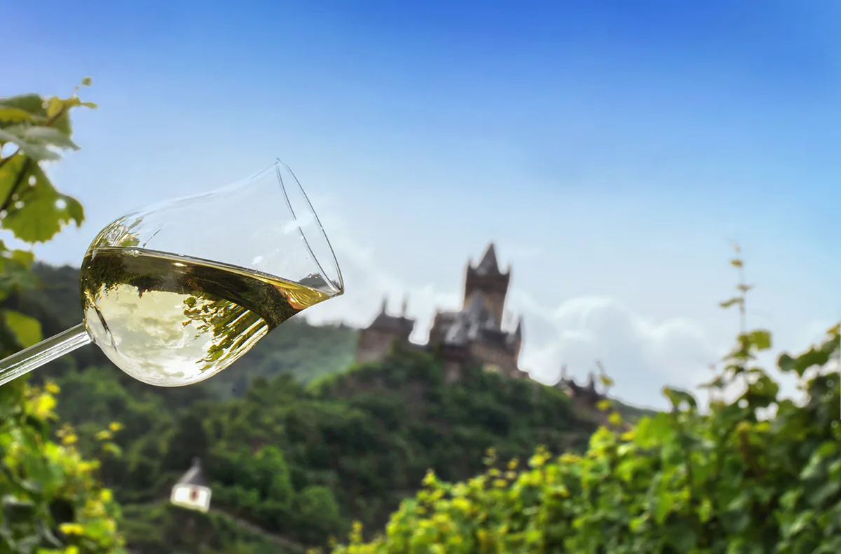 Weinausflug & Schifffahrt auf der Mosel - 6