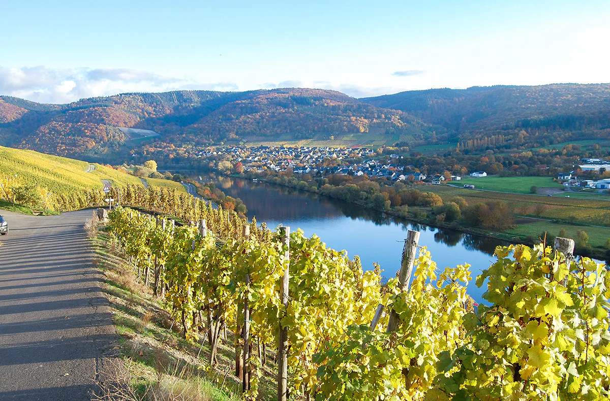 Weinausflug & Schifffahrt auf der Mosel - 7