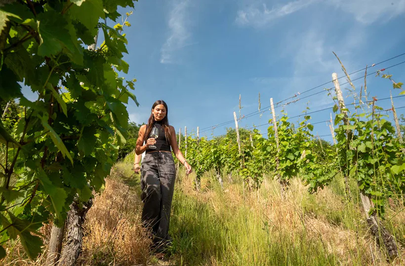 Weinbergwanderung mit Weinverkostung in Rheinland-Pfalz